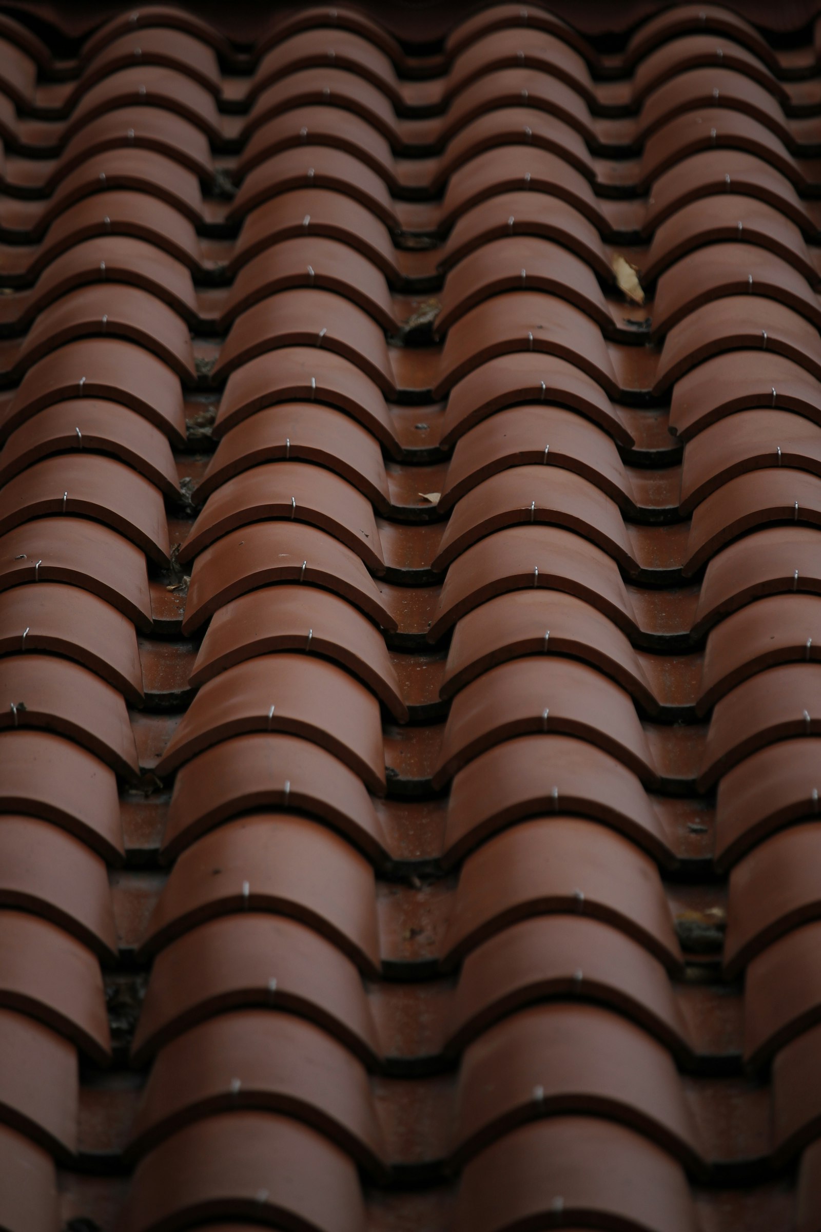 Close-up of clay roof tiles
