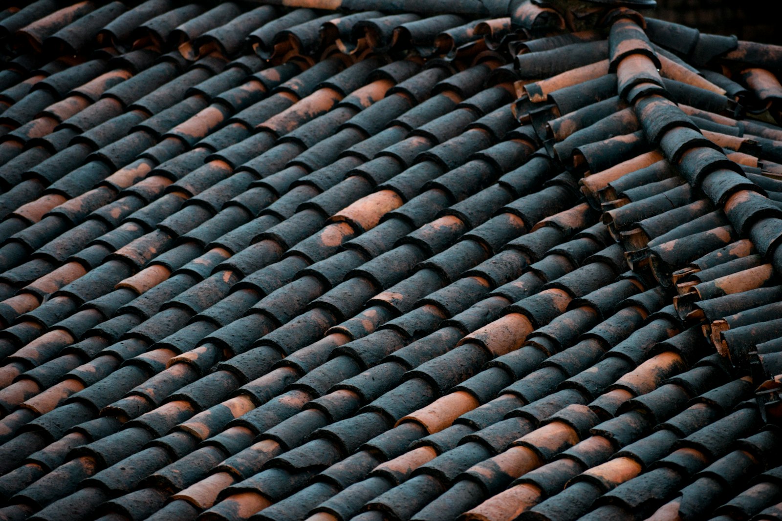 Clay roof tiles